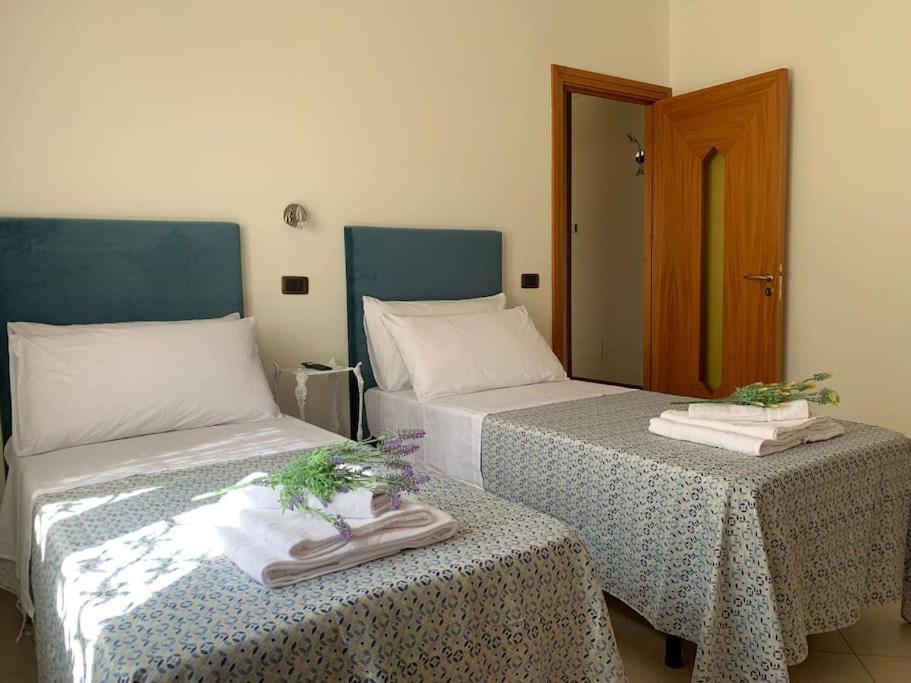 Apartment Dimaru